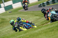 Middle Group Black Bikes